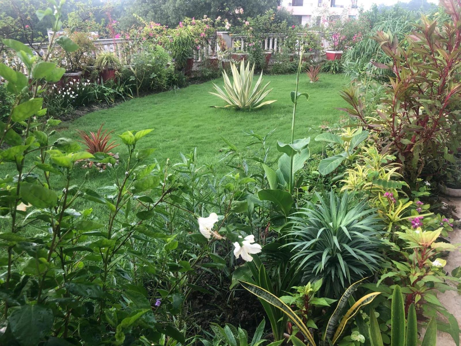 Mulberry Garden Hotell Varanasi Exteriör bild